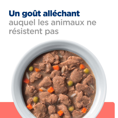 Hill's VET Hund Prescription Diet On-Care Ragout Huhn 12x354g