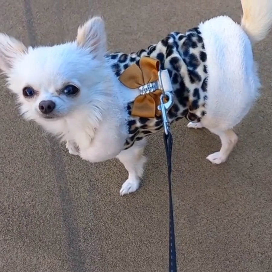 Ideal Pets, Casaco para Cães 