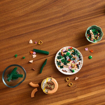 LEGO Botanicals 10343 Miniatyrorkidé