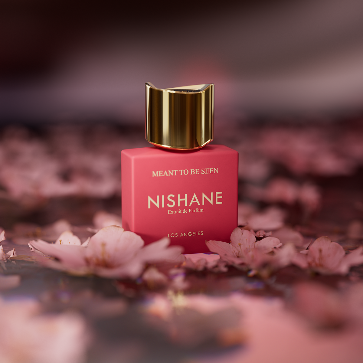 Meant To Be Seen Extrait de Parfum 50ml