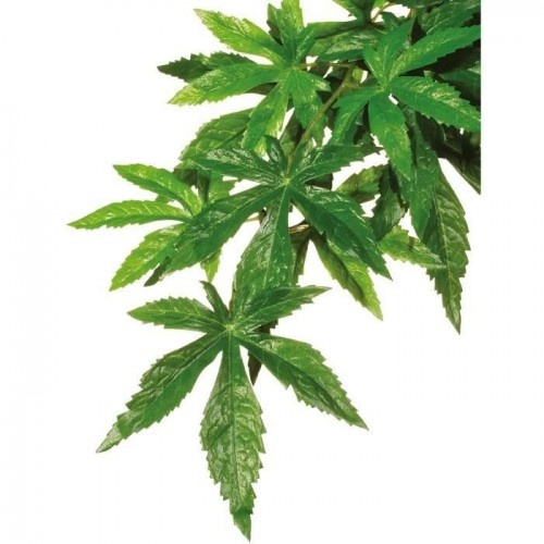 Exo Terra Trixie Abutilon - Planta para terrários