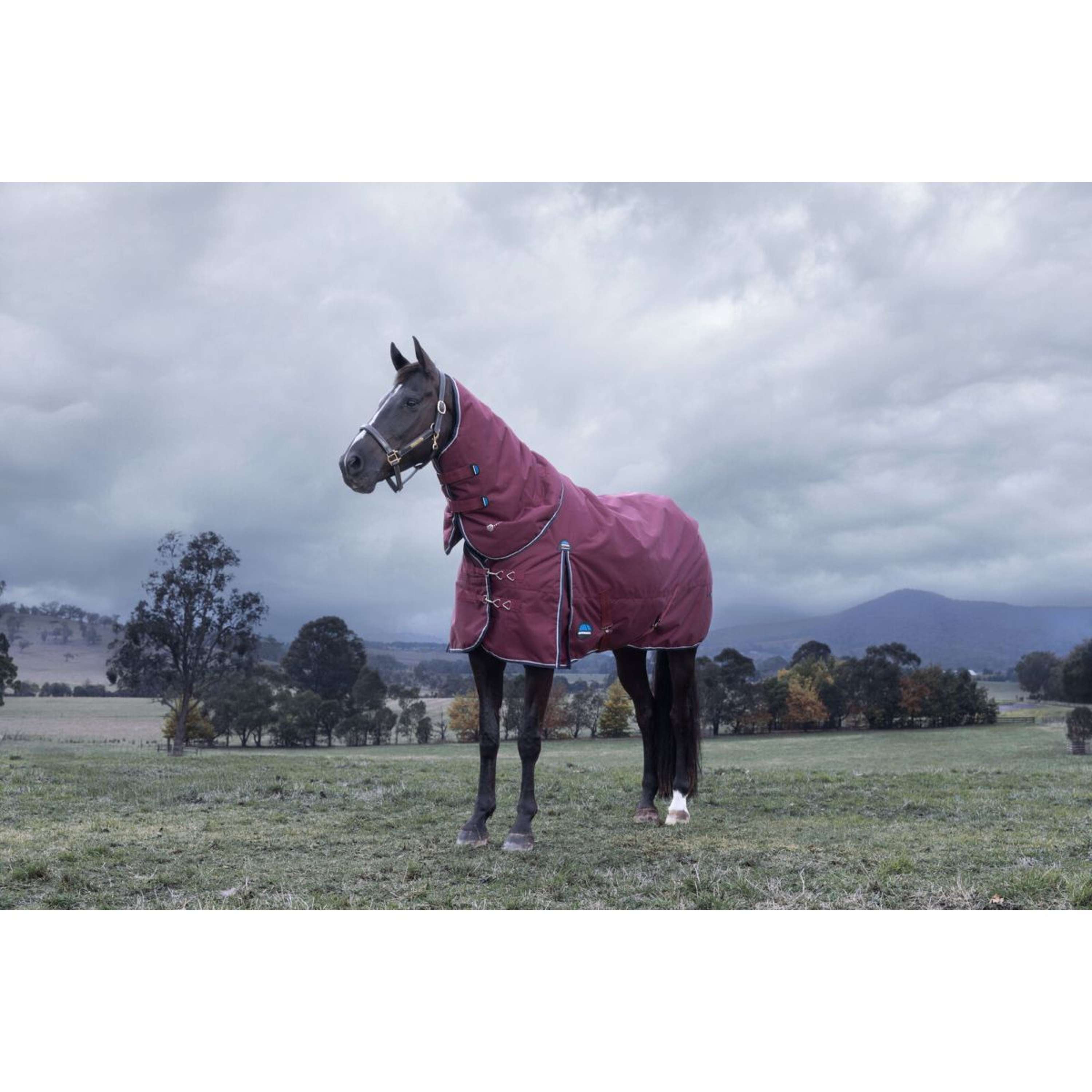 WeatherBeeta ComFiTec Essential Turnout Detach-A-Neck 220g Burgundy/Na