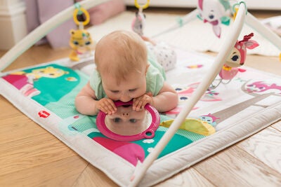 Tiny Love Gymini Deluxe Princess Tales Babygym, Multi