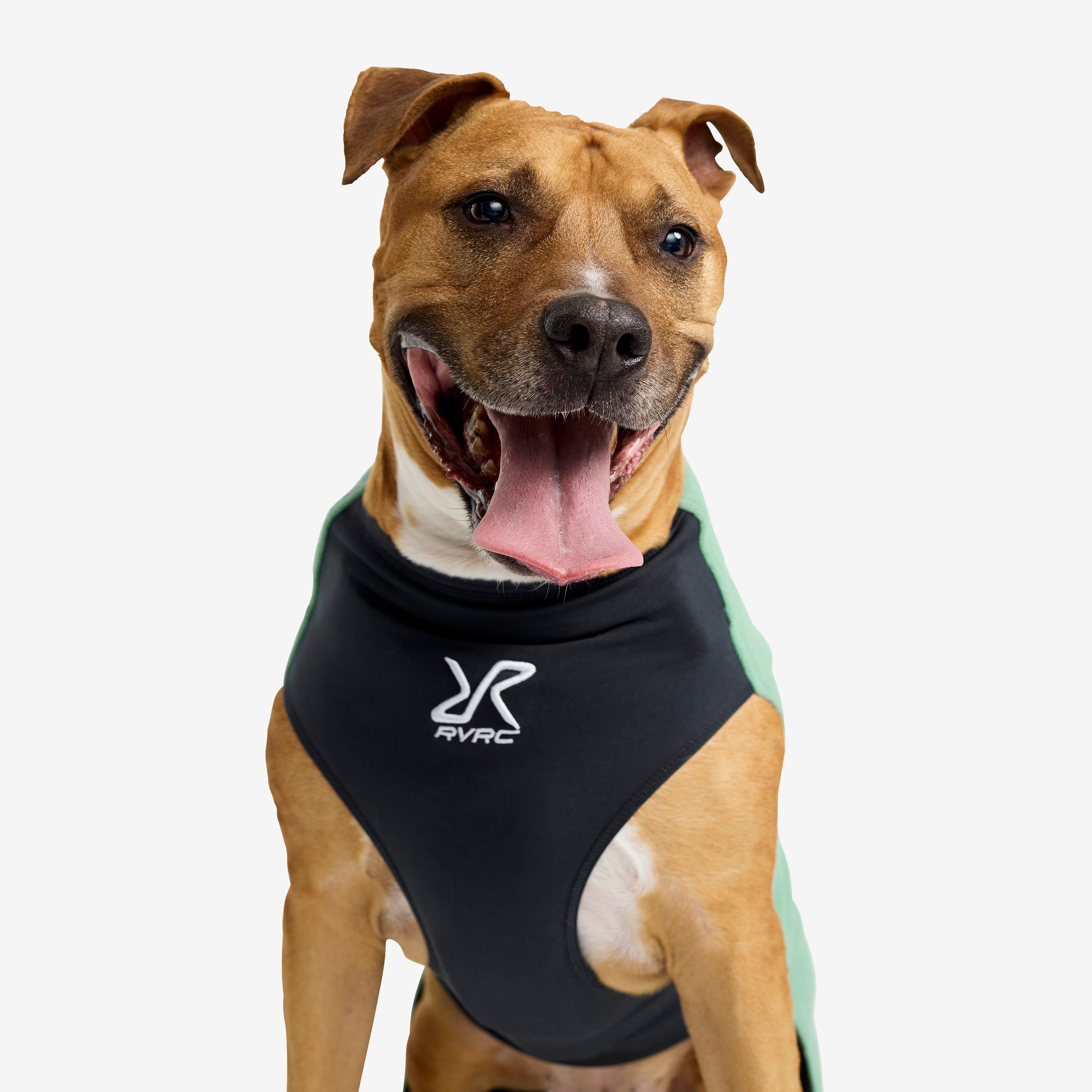 Trekker Fleece Hund Malachite Green