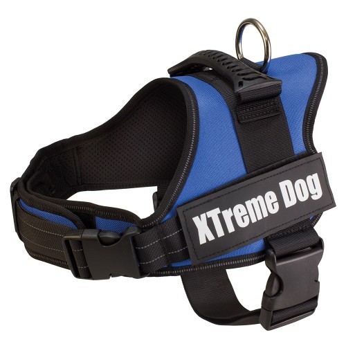 Coleira para cães Arquivet Xtreme, azul