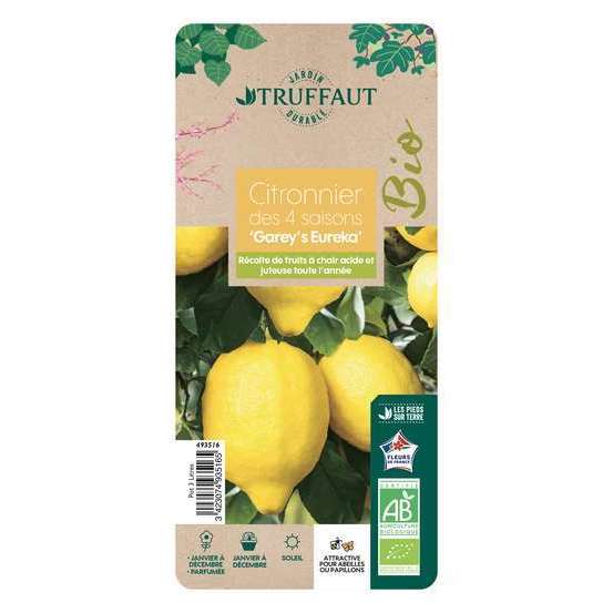 Citronnier 4 saisons:AB conteneur 3 litres