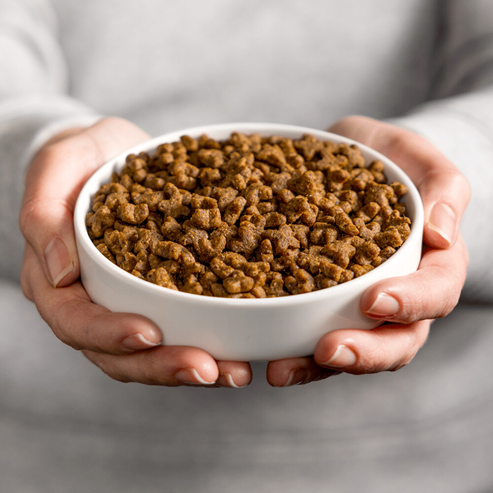 Smolke Kattenvoer Adult Kip2 kg