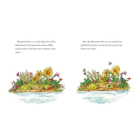 Carlsen Verlag Igel und Schnuff von Lauren Castillo