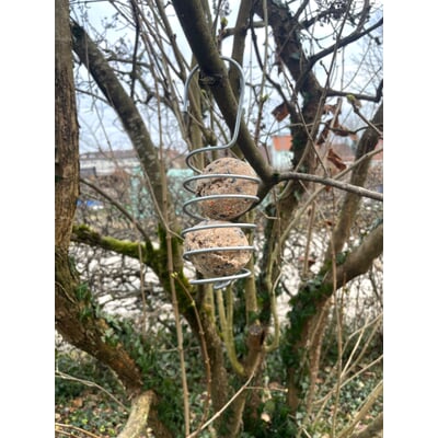 Vogelknödelhalter Spirale