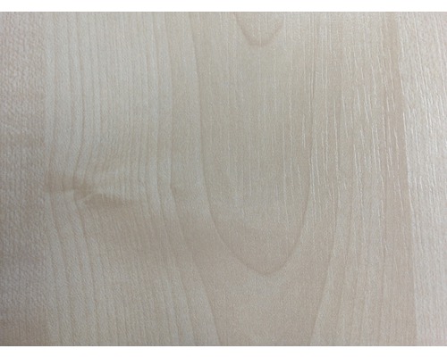 Meubelplaat esdoorn 19x200x2630 mm