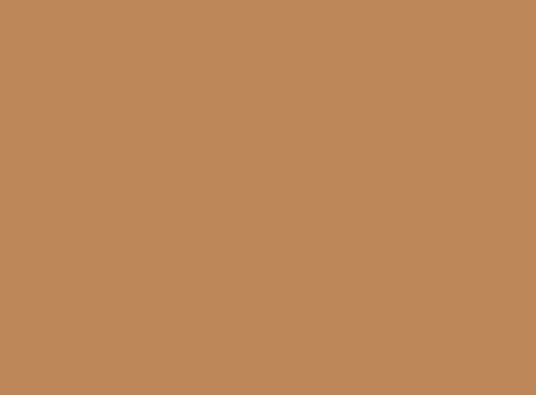 Milani Cosmetics Conceal + Perfect 2-In-1 Foundation + Concealer 10 Golden Tan 30ml