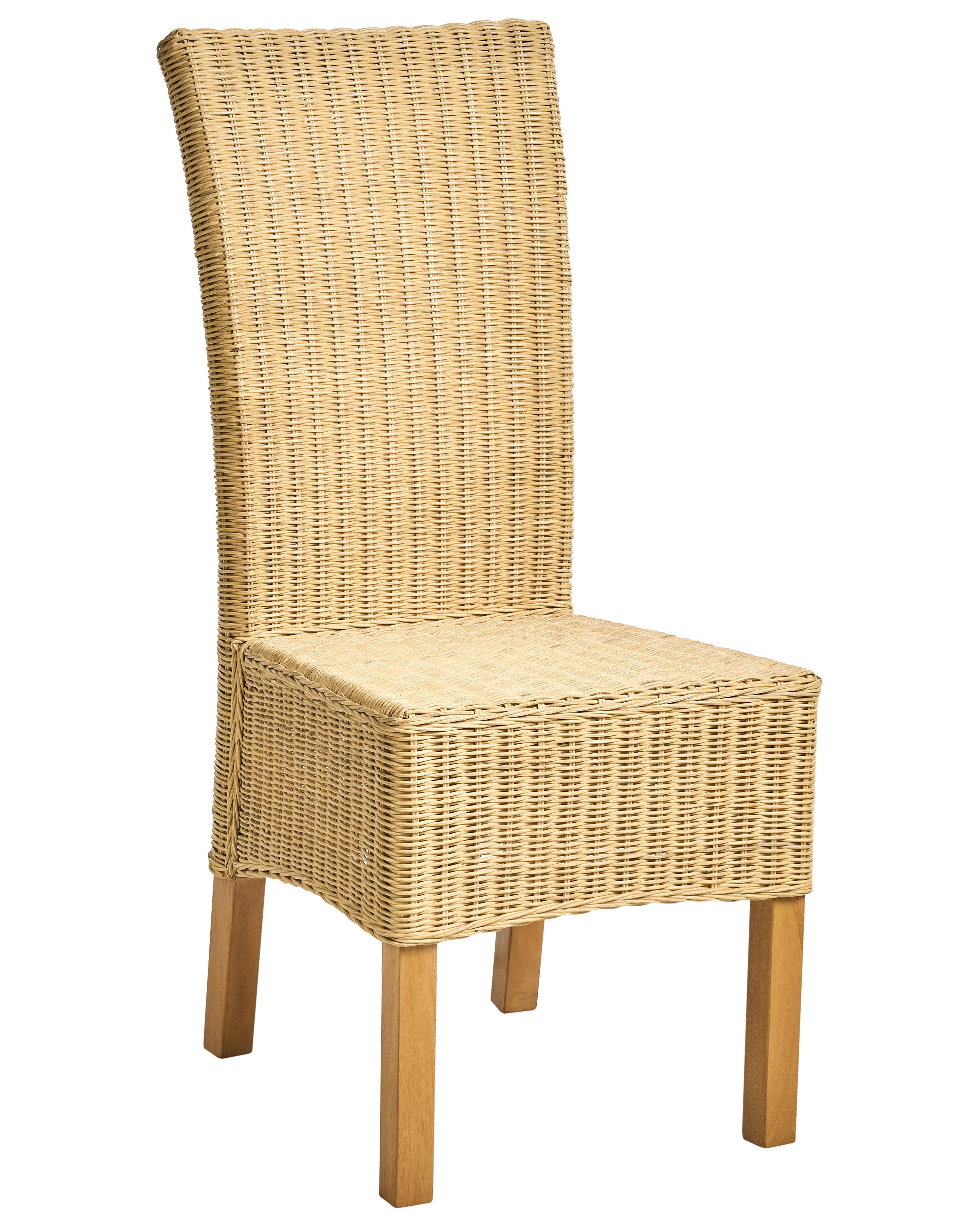 Set van 2 eetkamerstoelen ANDES Rotan Natuurlijk