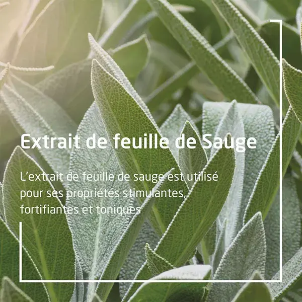 Desodorante orgânico Weleda Sage 100ml