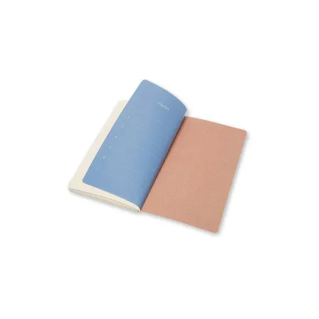 Moleskine Chapter-Notizheft altrosa, Punktraster, Slim Pocket