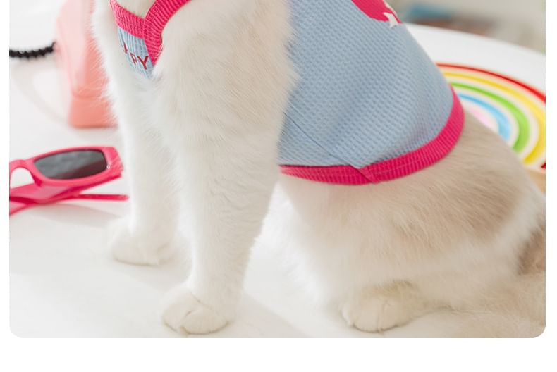 Cissilli - Pet Top met hartletters