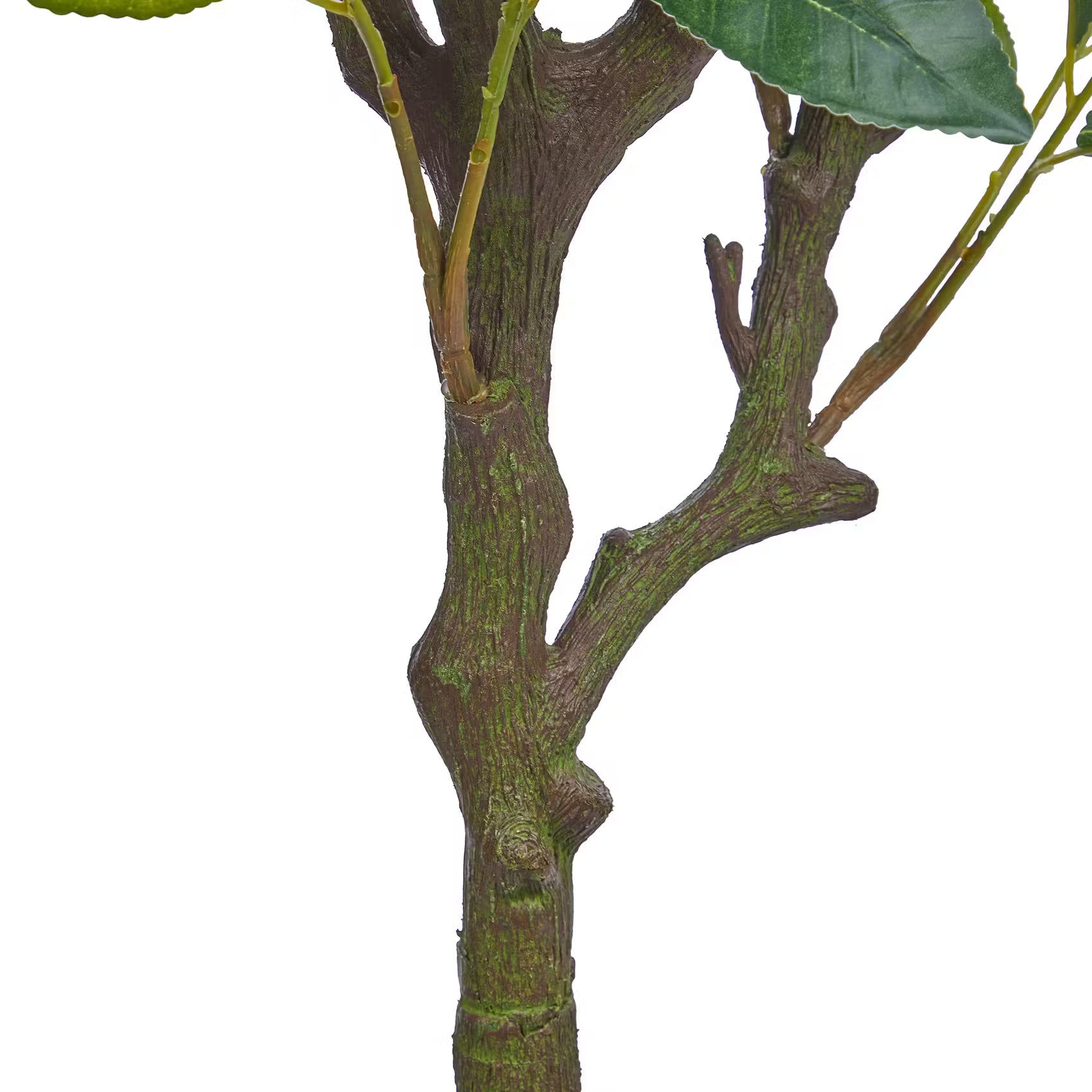 FLORISTA Kunstpflanze Zitronenbaum