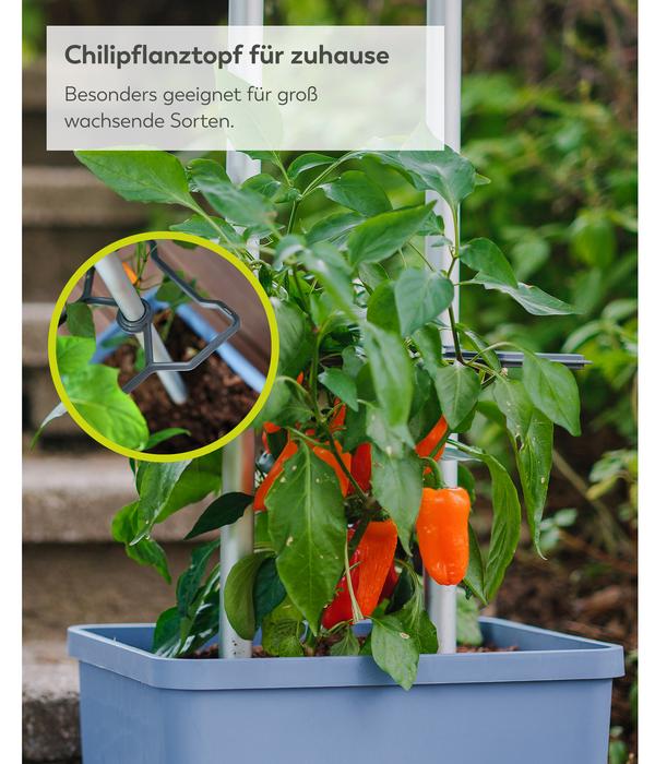 Gusta Garden Chili-Pflanztopf Charly Chili XL,