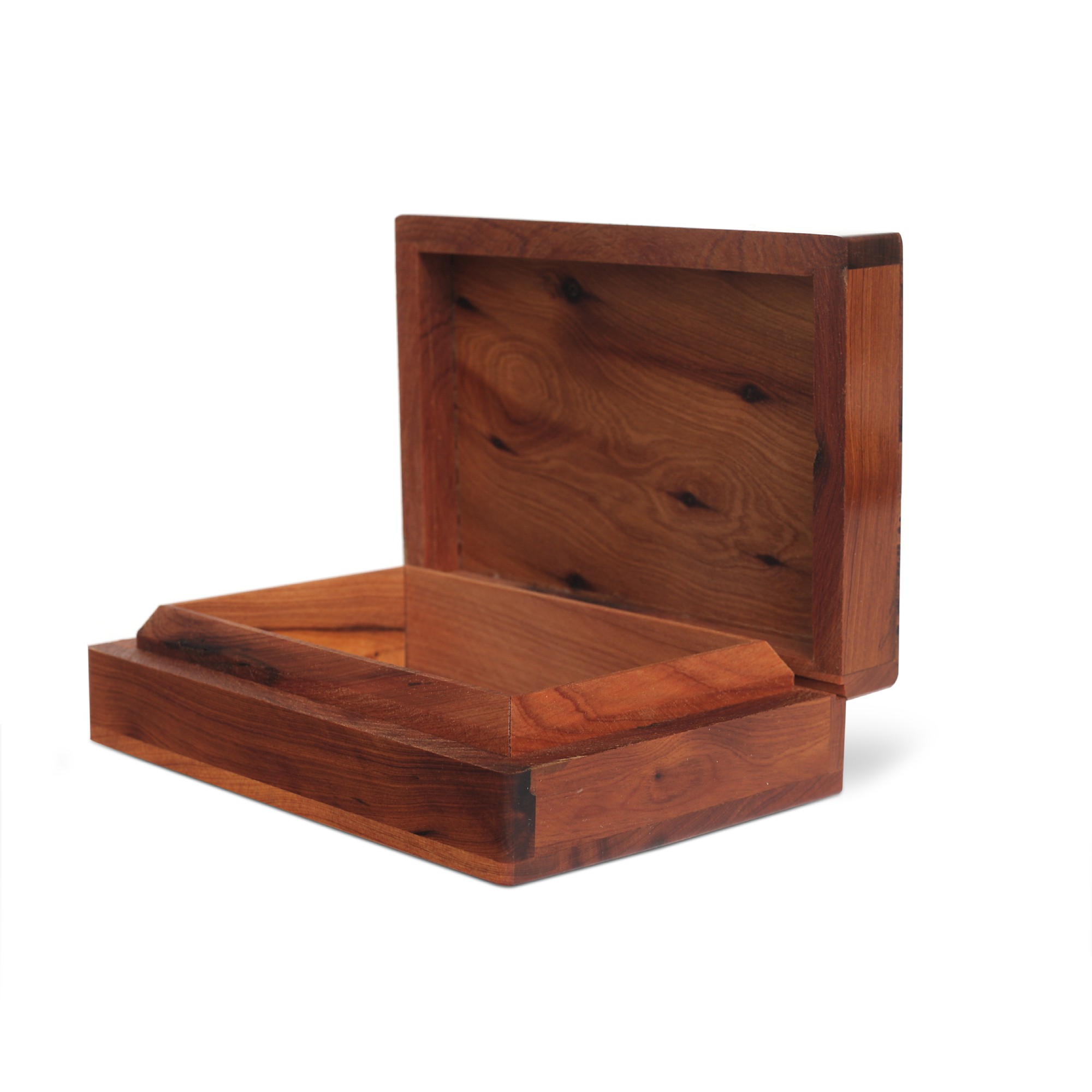 Thuja Box, T 10 cm, B 14,5 cm, H 5 cm von fischer's lagerhaus