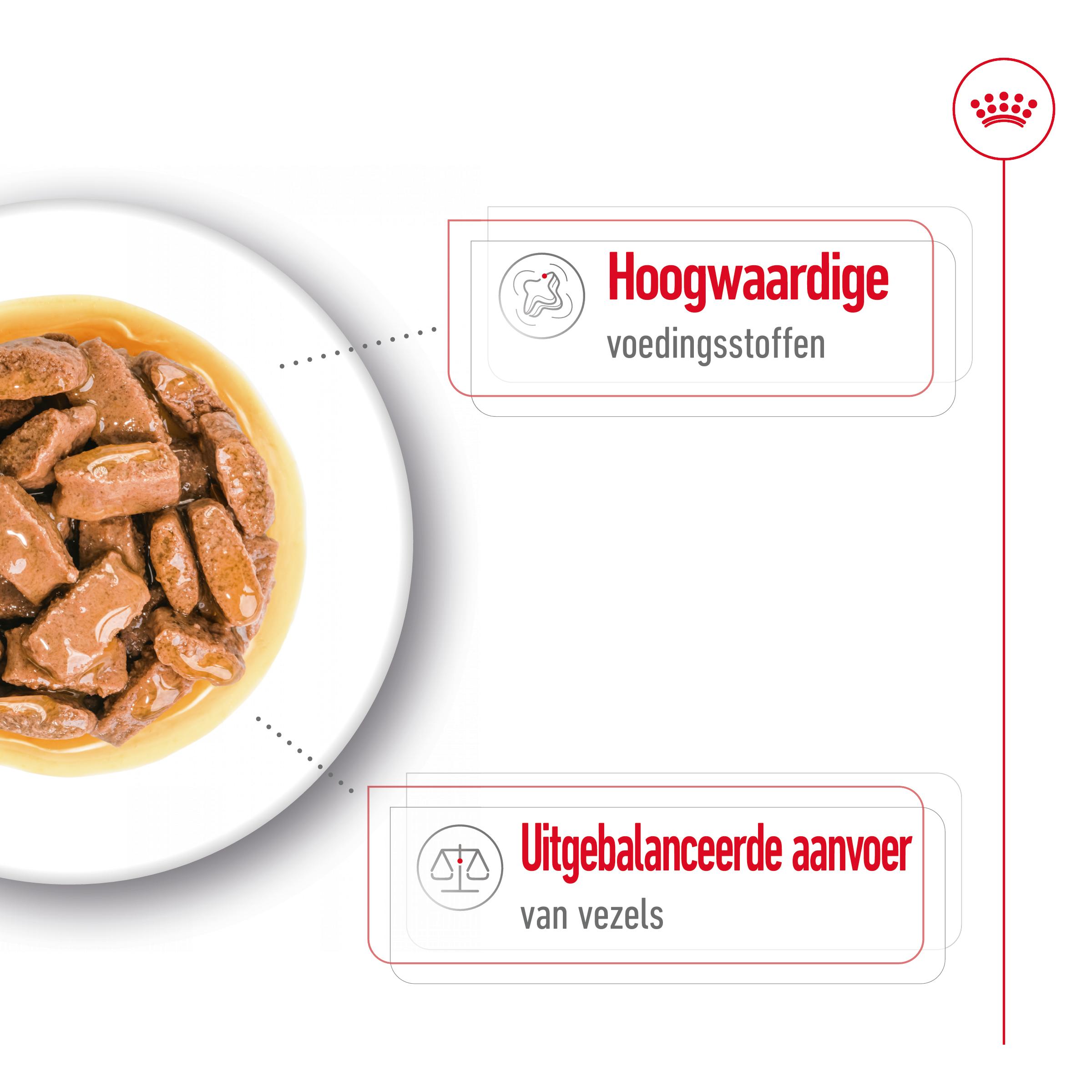 Royal Canin Maxi Adult Wet - Hondenvoer