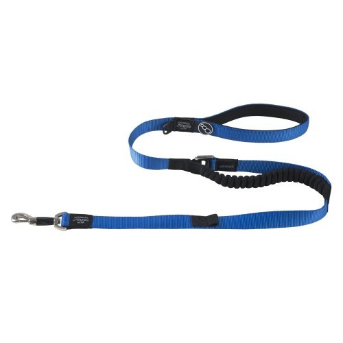 Guia azul para cães com absorção de impacto