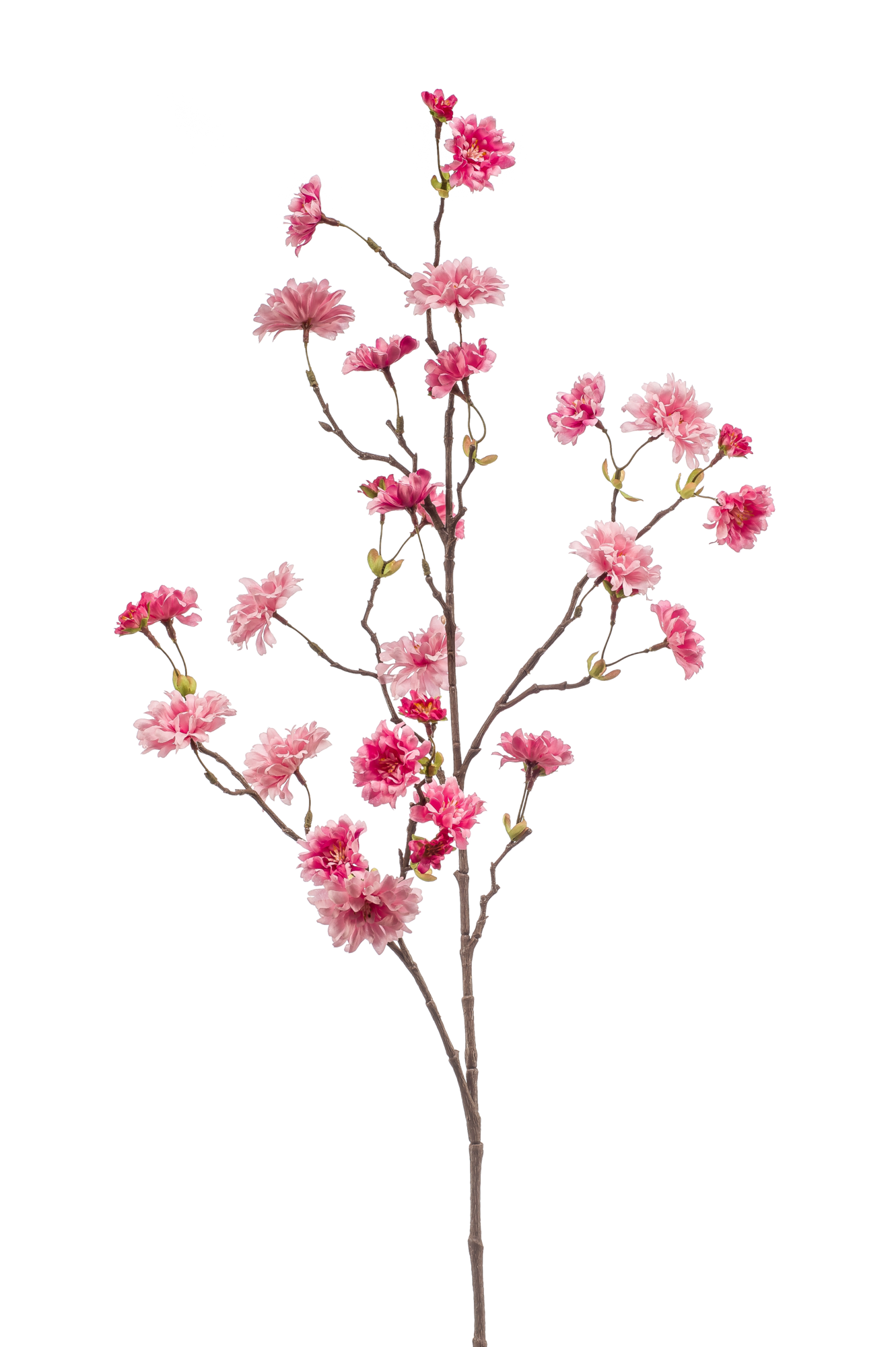 Cherry blossom spray pink