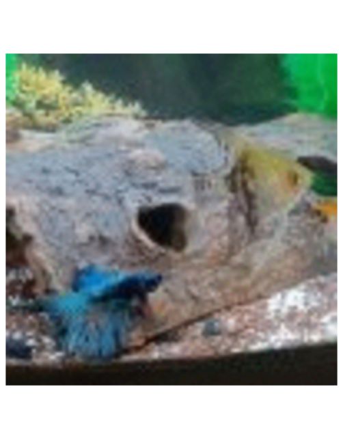 Ceramicnature Half-Log - Aquarium - Ornament - 18x10x6 cm Bruin M