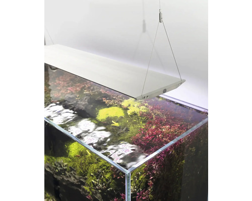 Aquarium AQUAEL UltraScape 90 met LED-verlichting Ultra Slim 90, ca. 243 l, ca. 90 x 60 x 45 cm, OPTI-glas, wit glas, zonder kast
