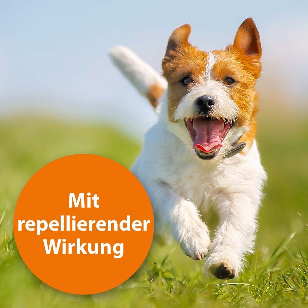 ARDAP® Zecken- und Flohpuder