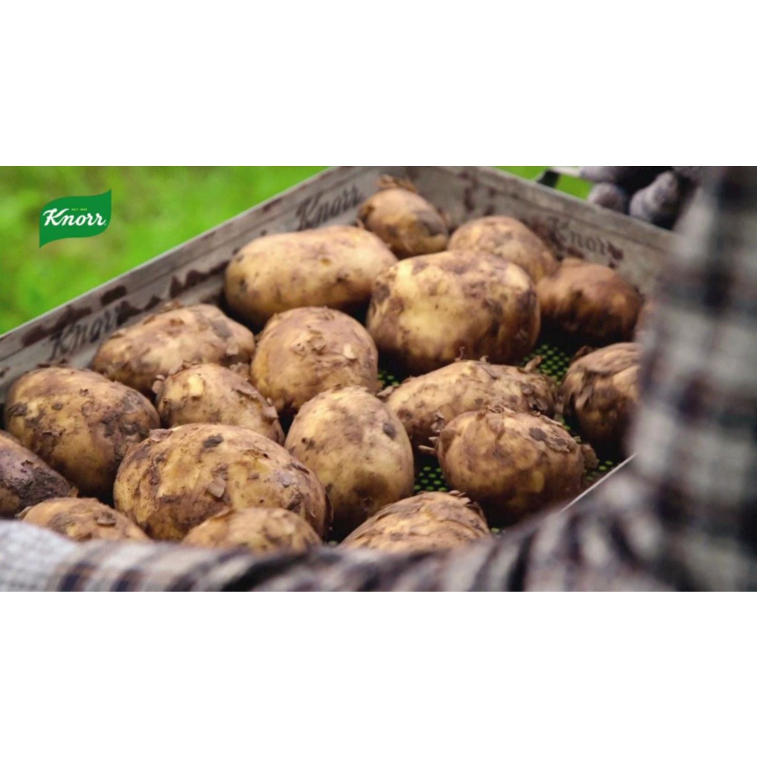 Knorr Naturaplan Bio Stocki 2x1 Portion