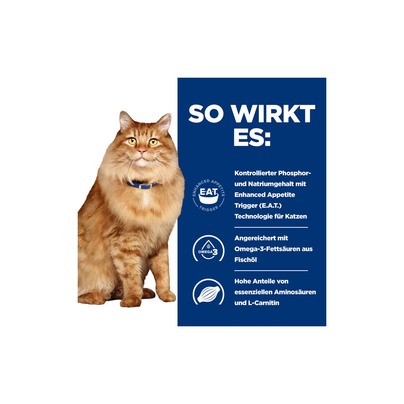 Hill's Prescription Diet k/d + Mobility Feline mit Huhn 12x85 g