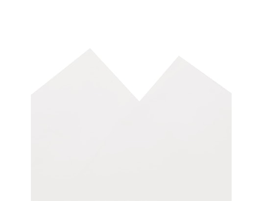 VIDAXL - Bâche blanc 3x5 m 600 /m²