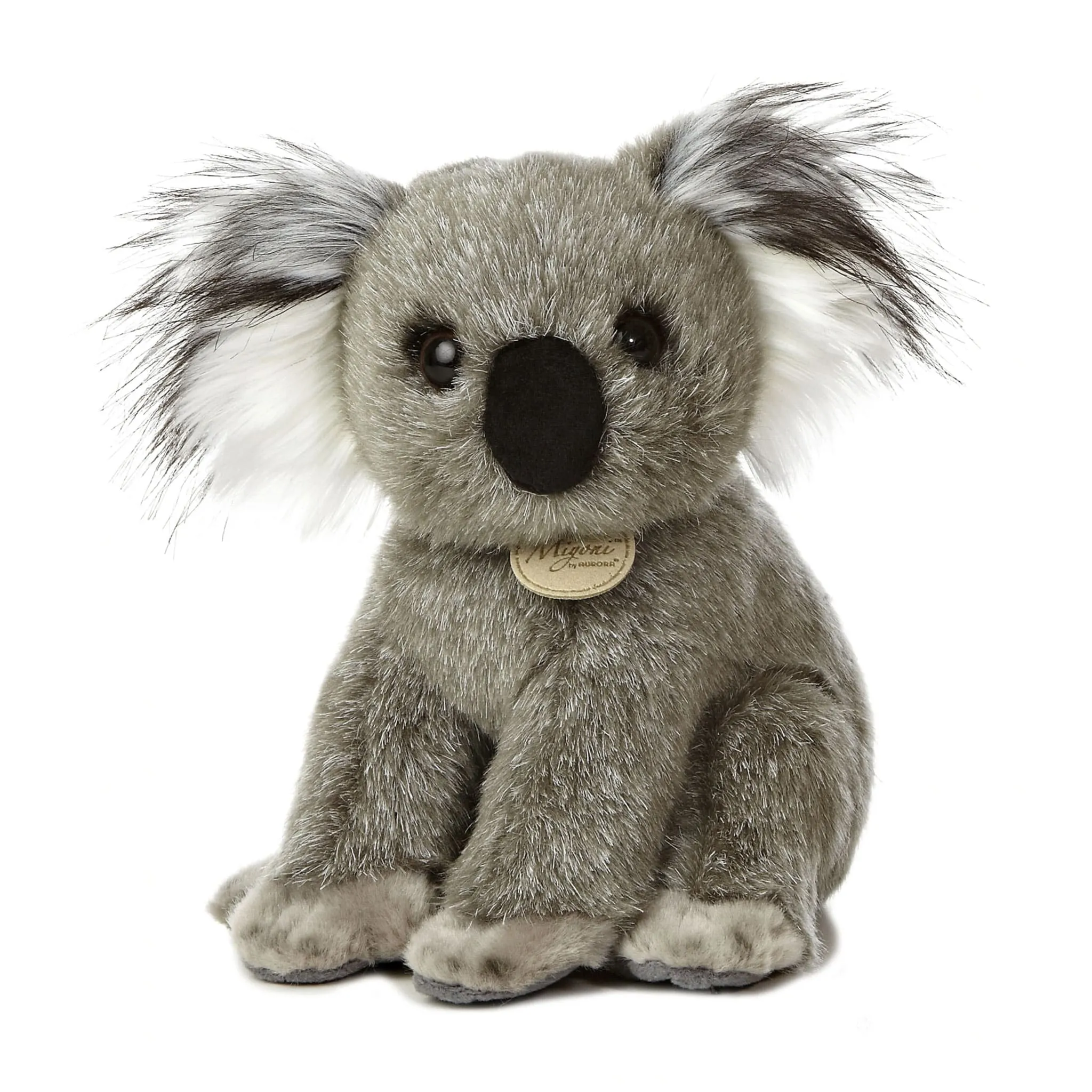 Aurora Koala