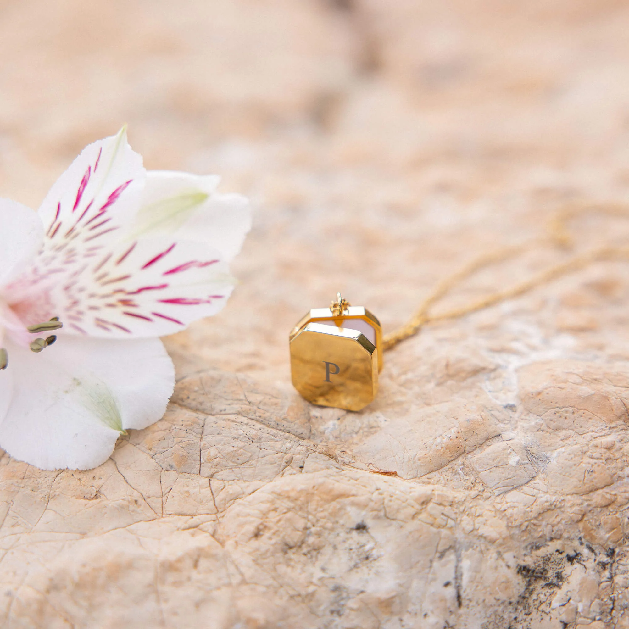 Elegance Medaillon Kette - PURELEI