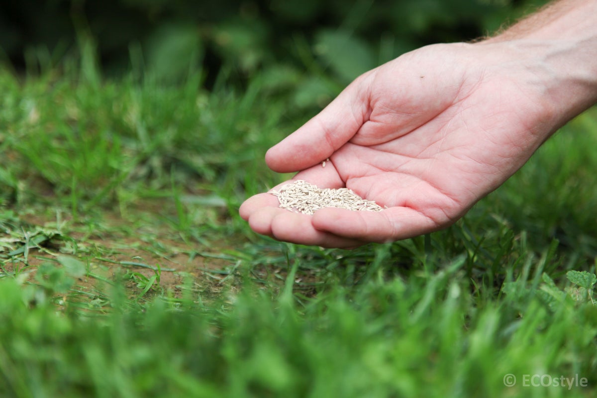 ECOstyle graszaad-herstel 1 kg