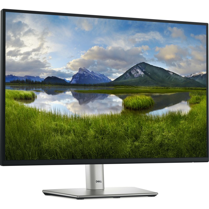 DELL Pro Plus P2425E écran plat de PC 61,1 cm (24.1