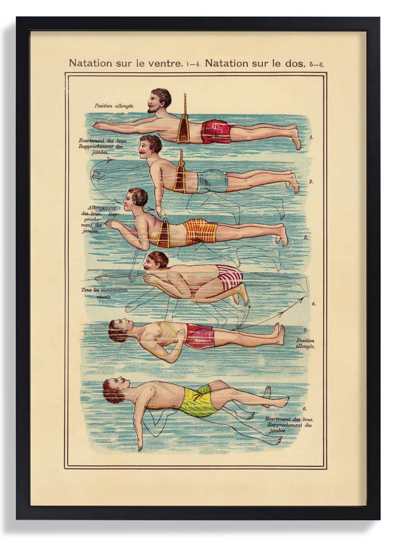 Der Schwimmer