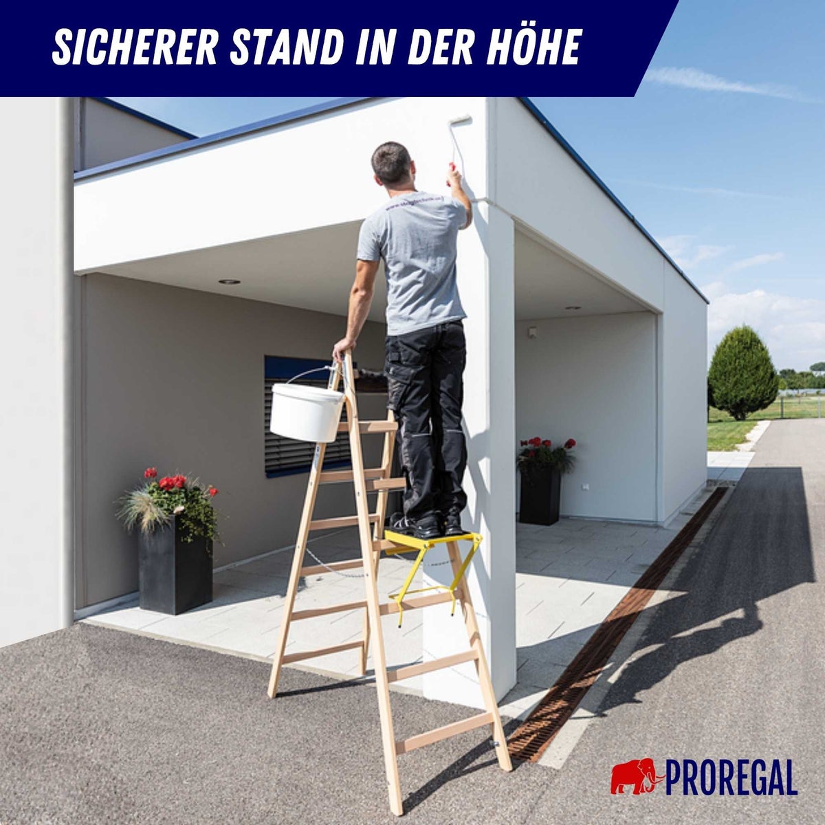 PROREGAL Houten Trapladder met 2 x 8 Sporten