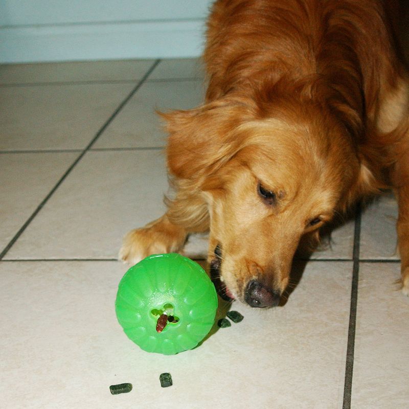 Balle à friandises Starmark Chew Ball