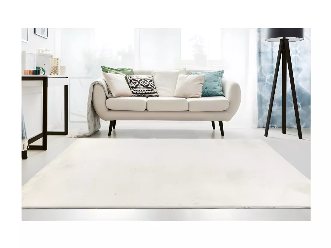 Tapis 290x200cm, design E005N coloris crème - Confort et élégance pour votre intérieur