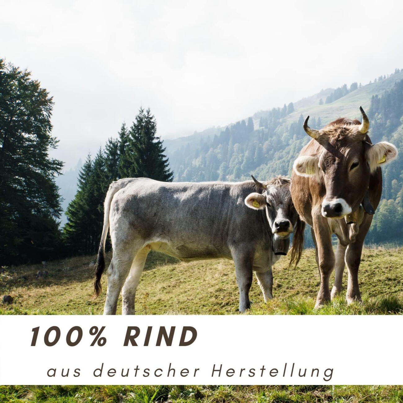 Supravit Rinderlunge getrocknet 300g Kausnack für Hunde