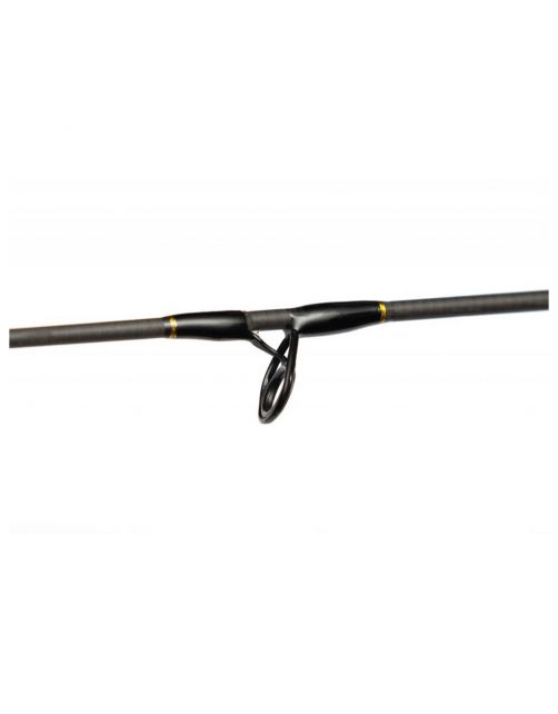 Fox Rage Terminator Big Bait Spin 270cm 40-160g - Roofvishengel -