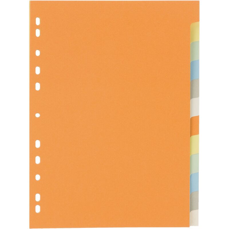 Intercalaire A4 budget carte colorée 12 onglets neutres multicolores - 1 jeu