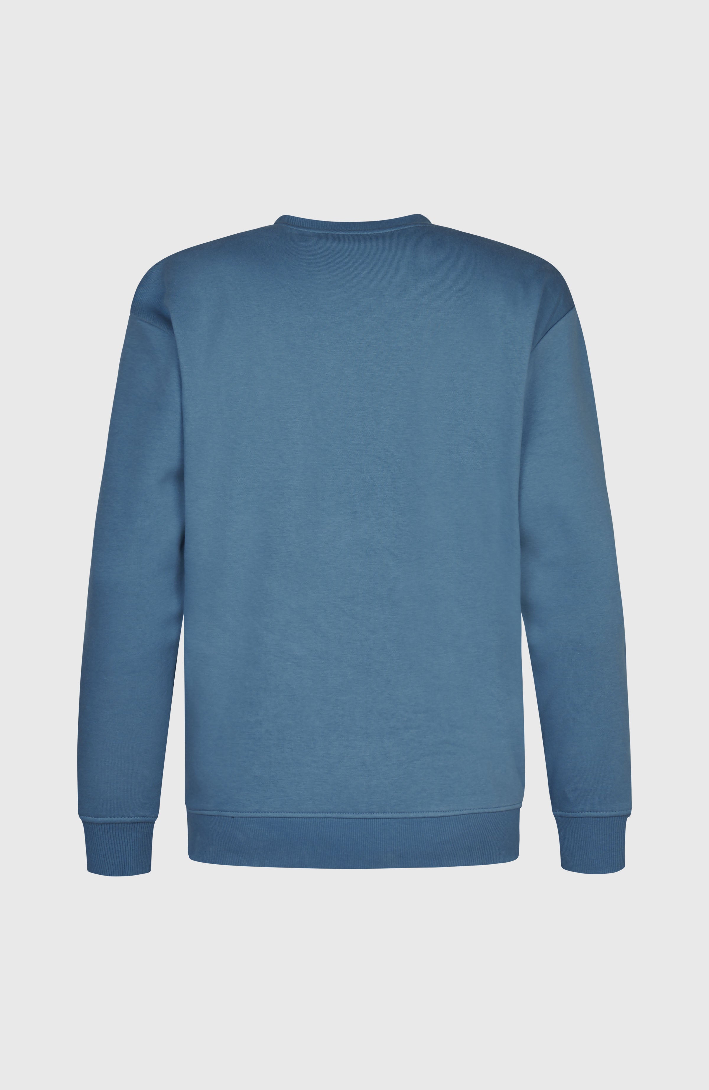 Future Surf Society Crew sweater