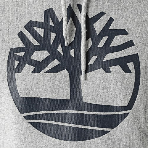 Sweat Capuche Core Logo A2BJH Gris Chiné