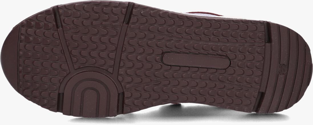 WYSH paarse wysh lage sneakers jennifer