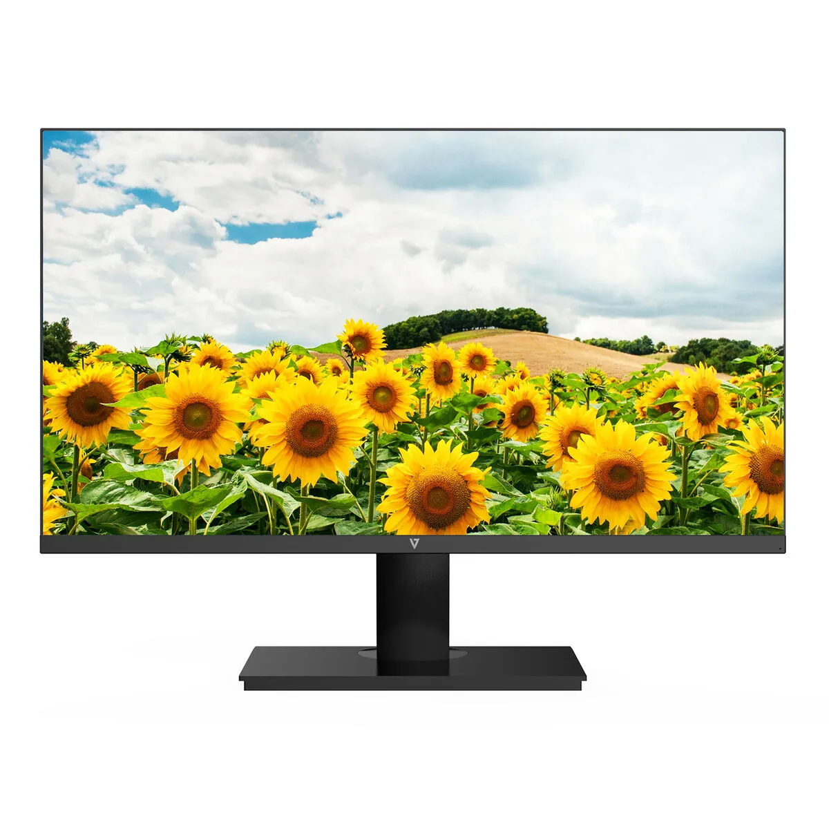 V7 L238V0-E Full HD 23,8