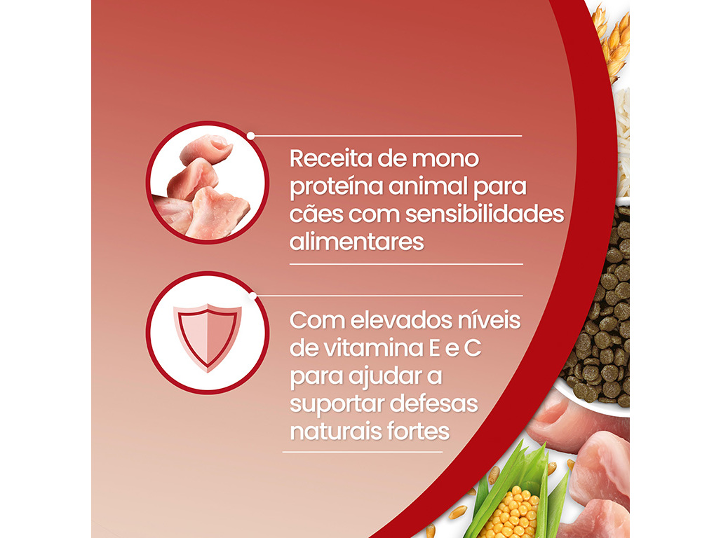 RAÇÃO PARA CÃO PURINA ONE MONOPROTEÍNA PERU 2.5KG