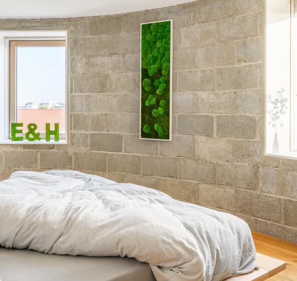 styleGREEN Bild aus Wald- und Kugelmoos im