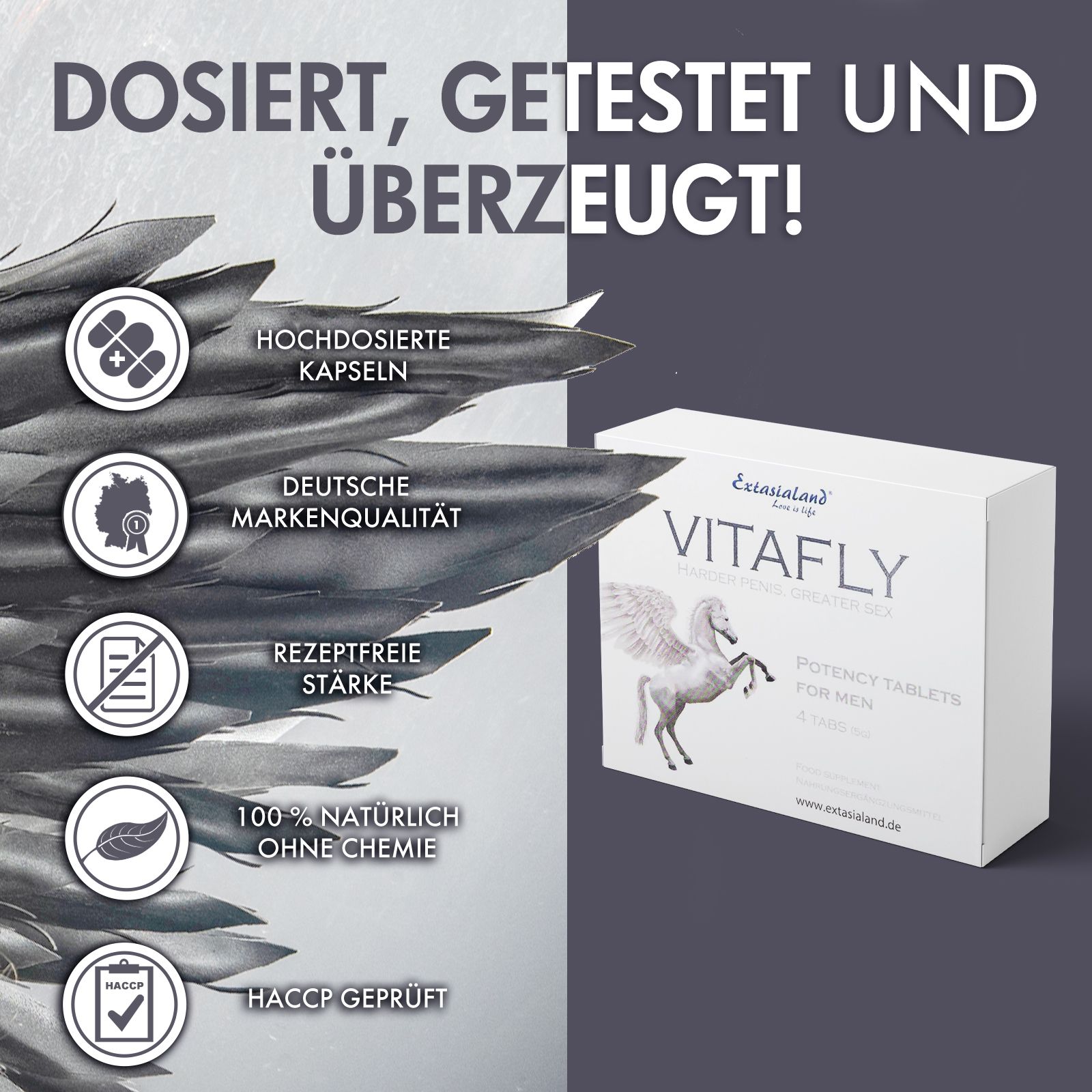 VitaFly 4 tabs