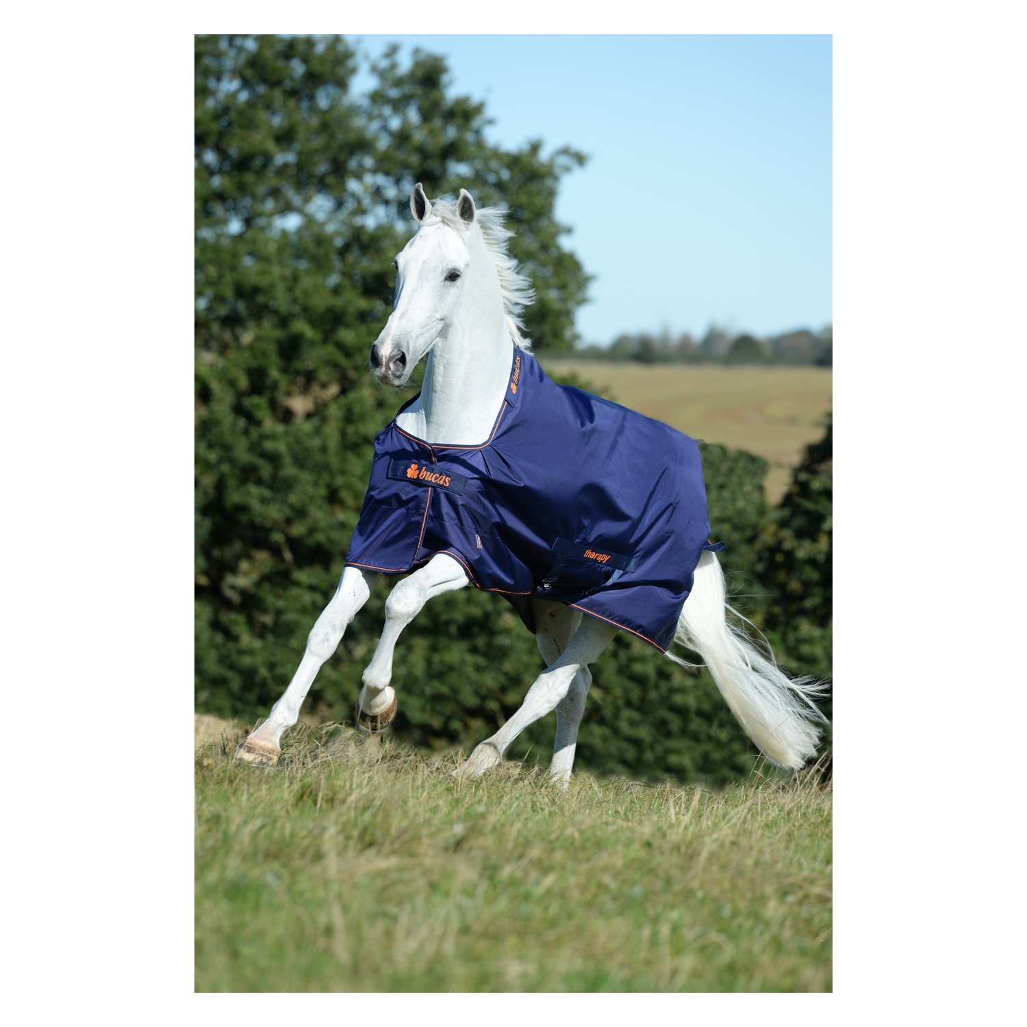 Bucas Outdoor-Therapie-Decke Bucas Therapy - navy - 135 cm